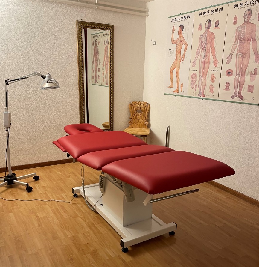 Praxis, YanZI TCM, Praxis für traditionelle chinesische Medizin in Cham, Zug